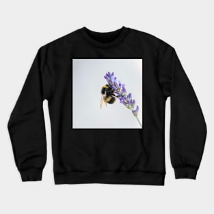 Bumble Bee on Lavendar Crewneck Sweatshirt